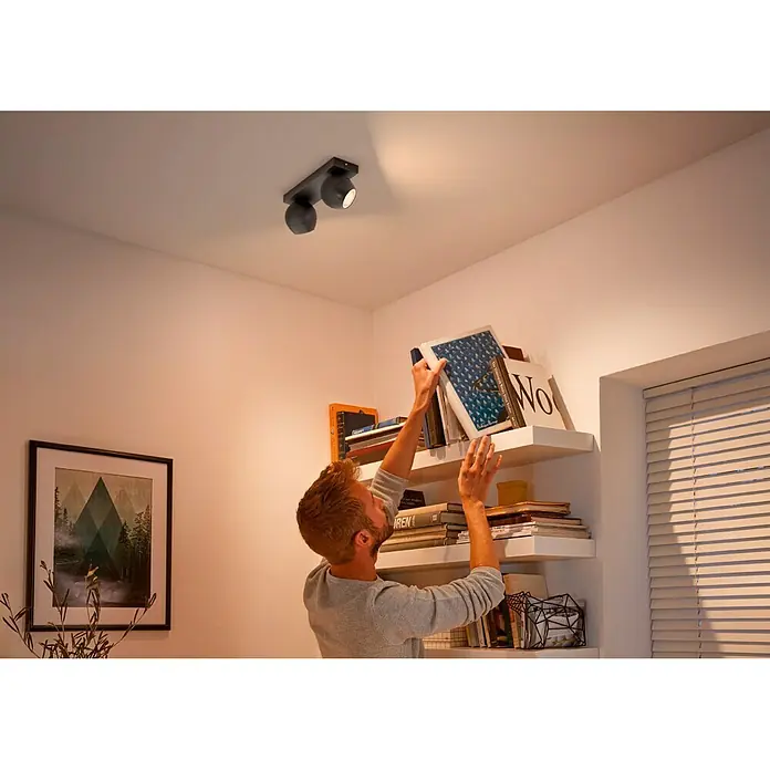 Philips Hue Regleta LED Buckram - 11 W, L x An x Al: 8,2 x 25,2 x 10,3 cm, Negro, Multicolor