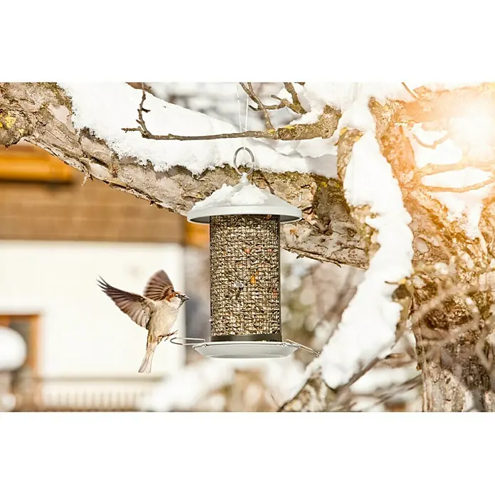 Windhager Vogelhaus Happy Bird - L x B x H: 19 x 26 x 31 cm, Schwarz/Silber, Metall, Lackiert