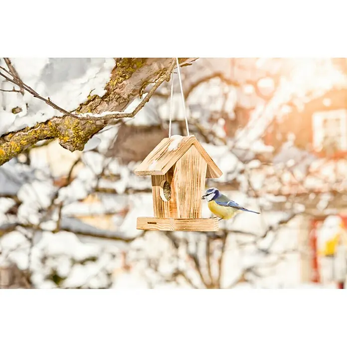 Windhager Vogelhaus Cottage - L x B x H: 18,5 x 14,5 x 23,5 cm, Natur, Geflammt, Holz
