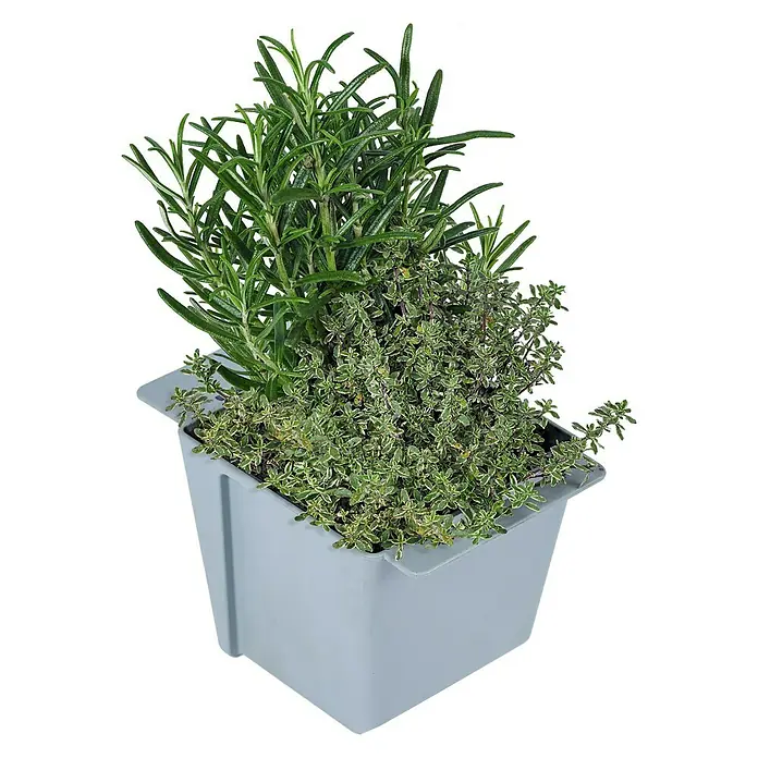 Geli Umetak za kutiju za biljke Easy - Vanjska dimenzija (D x Š x V): 10 x 10 x 10 cm, Plastika, Betonski sive boje