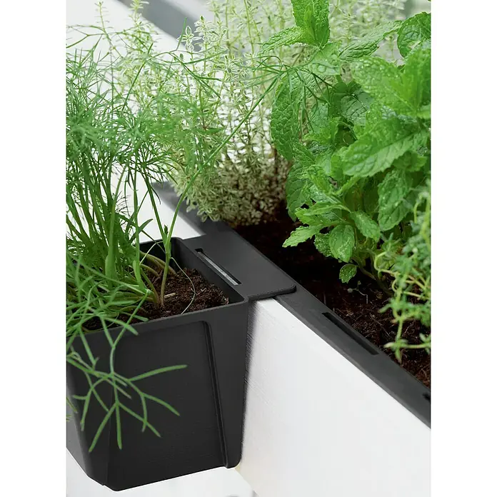 Geli Umetak za kutiju za biljke Easy - Vanjska dimenzija (D x Š x V): 10 x 10 x 10 cm, Plastika, Antracit - Proizvod u upotrebi