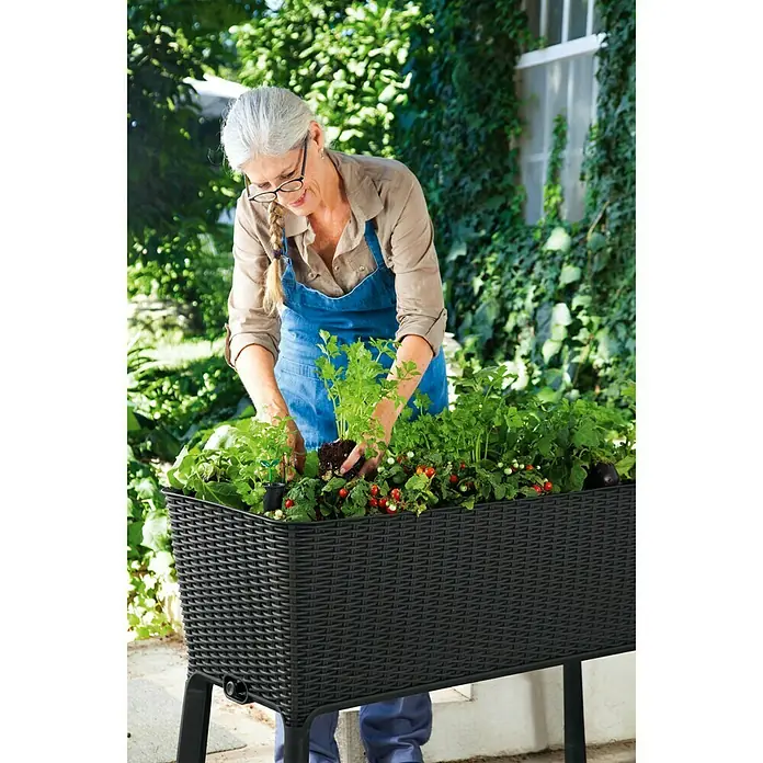 Keter Hochbeet Easy Growing - 114 x 49,3 x 75,7 cm, Kunststoff