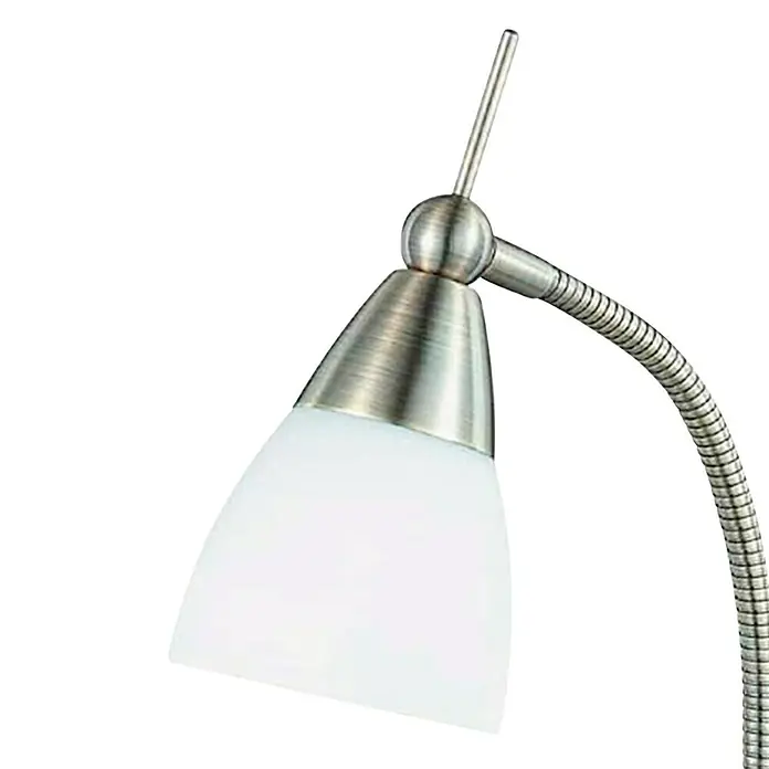 Paul Neuhaus Pino Stolna svjetiljka - 28 W, D x Š x V: 28 x 28 x 44,5 cm, Stara mjed, Bijele boje, G9 - Detaljan prikaz