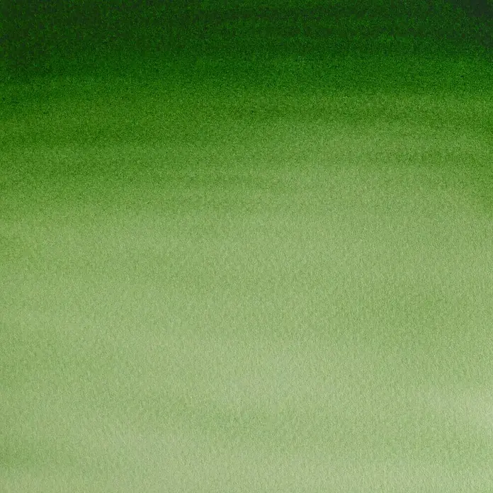 Winsor & Newton Cotman Aquarelverf - Hooker's Green Light, Pot - Close-up