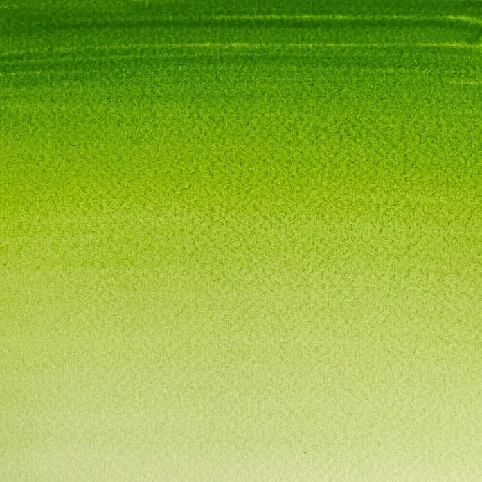 Winsor & Newton Cotman Aquarelverf - Sap Green, Pot - Close-up