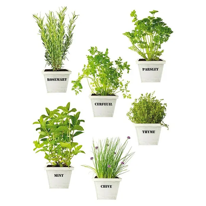 Adhesivos decorativos cristal - Plantas verdes, Verde, 21 x 29,7 cm