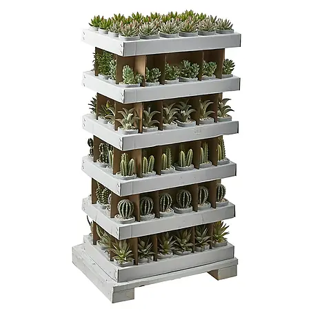 Planta artificial Suculenta