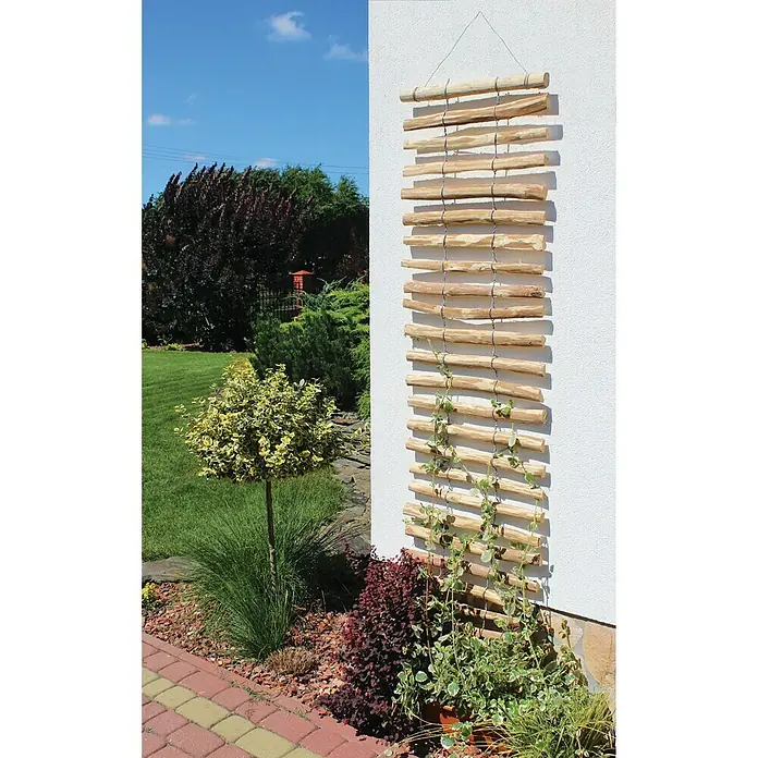 Dobar Rankgitter - 200 x 50 cm, Natur - Stimmungsaufnahme