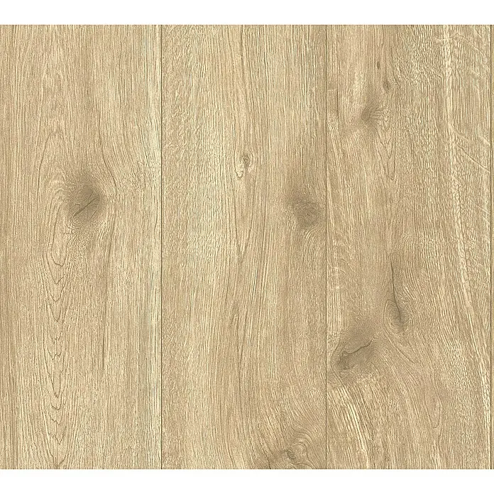 AS Creation Best Of Wood&Stone 2 Vliestapete - Braun, Holzoptik, 10,05 x 0,53 m - Detailaufnahme