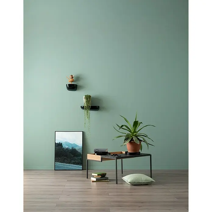 SCHÖNER WOHNEN-Farbe Wandfarbe Designfarbe - Erhabenes Agavengrün, 2,5 l, Matt - Stimmungsaufnahme