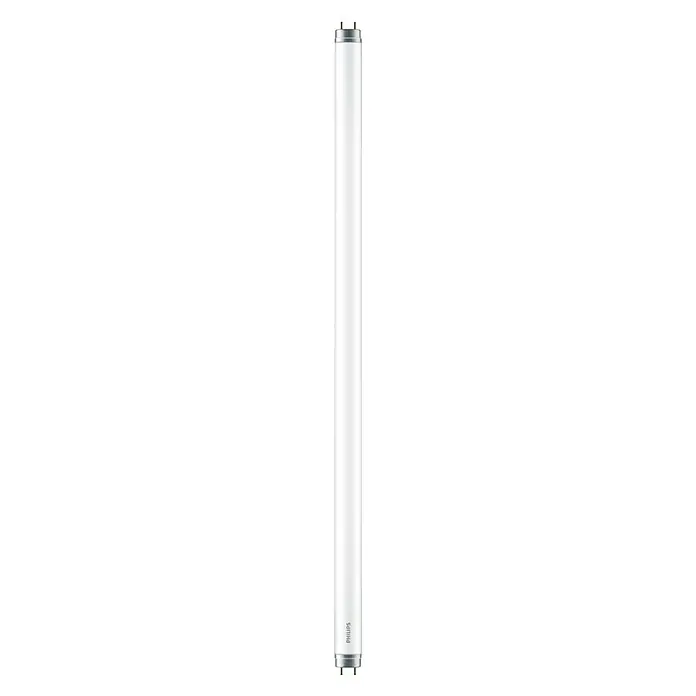 Philips Tubo LED T8 - 8 W, Color de luz: Blanco frío, Largo: 60,25 cm