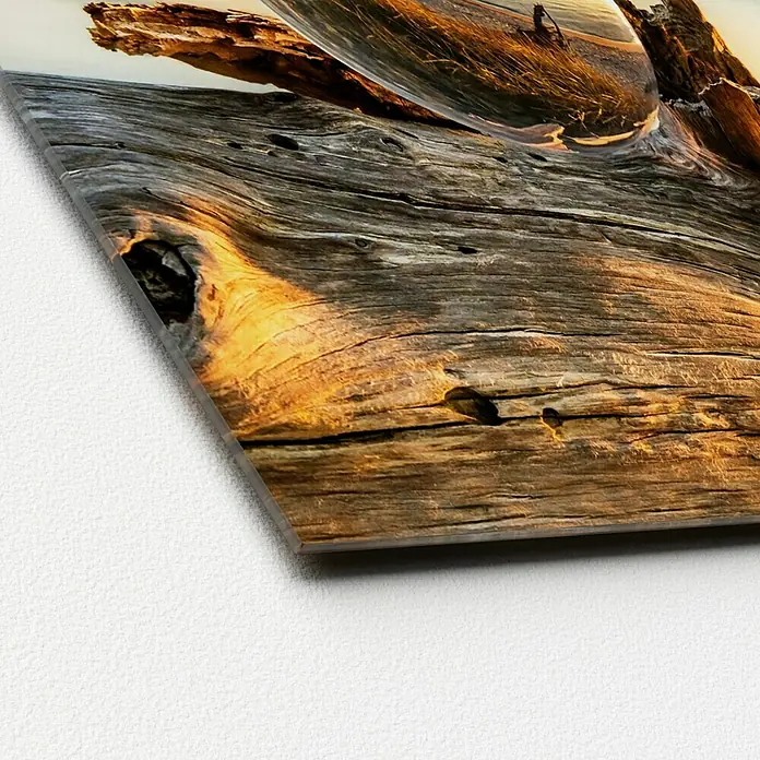 ProArt Glasbild - Drop on Wood, B x H: 30 x 30 cm - Detailaufnahme