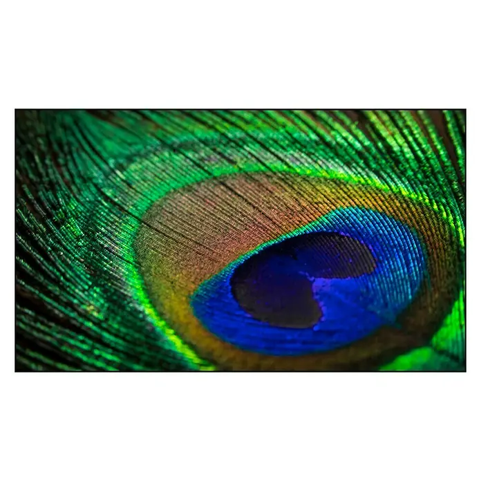 Cuadro de vidrio Turkey feathers - Plumas de pavo, An x Al: 120 x 70 cm