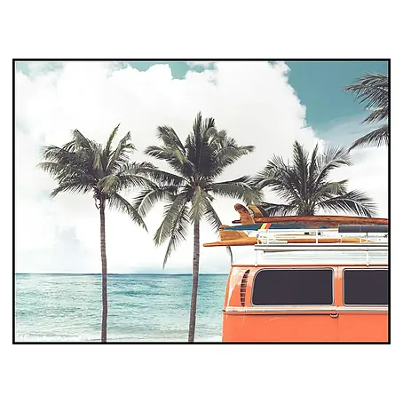 Cuadro de vidrio Palm