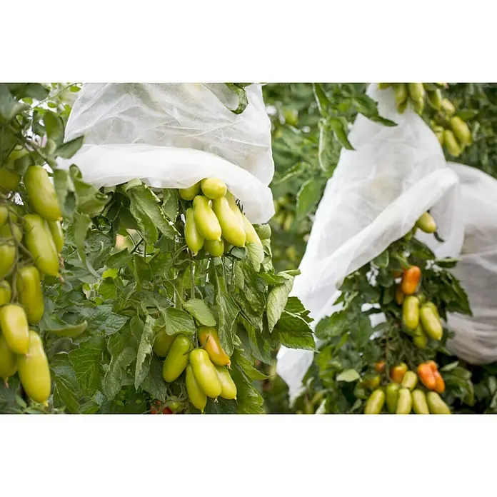 Windhager Tomaten-Vliesschlauch - L x B: 10 m x 65 cm