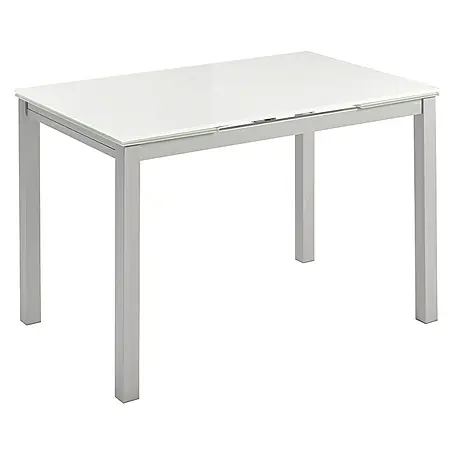 Mesa Karina