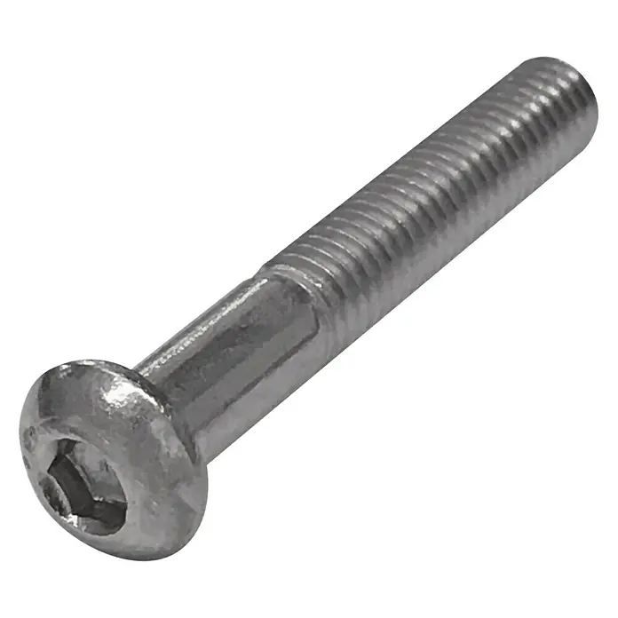 Suki Tornillo de cabeza hueca hexagonal - M5, Largo: 20 mm, Contenido: 1 ud., Zincado - Primer plano
