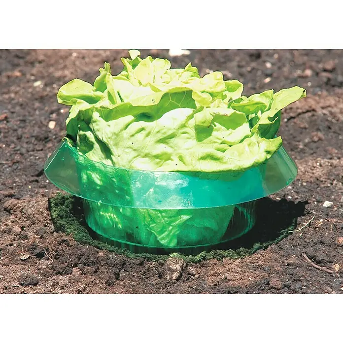 Windhager Schnecken-Stopp - D x H: 23 x 11 cm, 6 Stk.