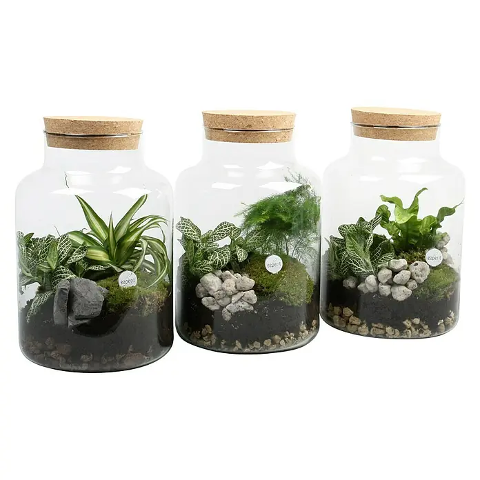Piardino Jarrón con plantas - 17 cm - Vista frontal