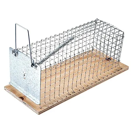 Swissinno Classic Drahtkasten-Rattenfalle