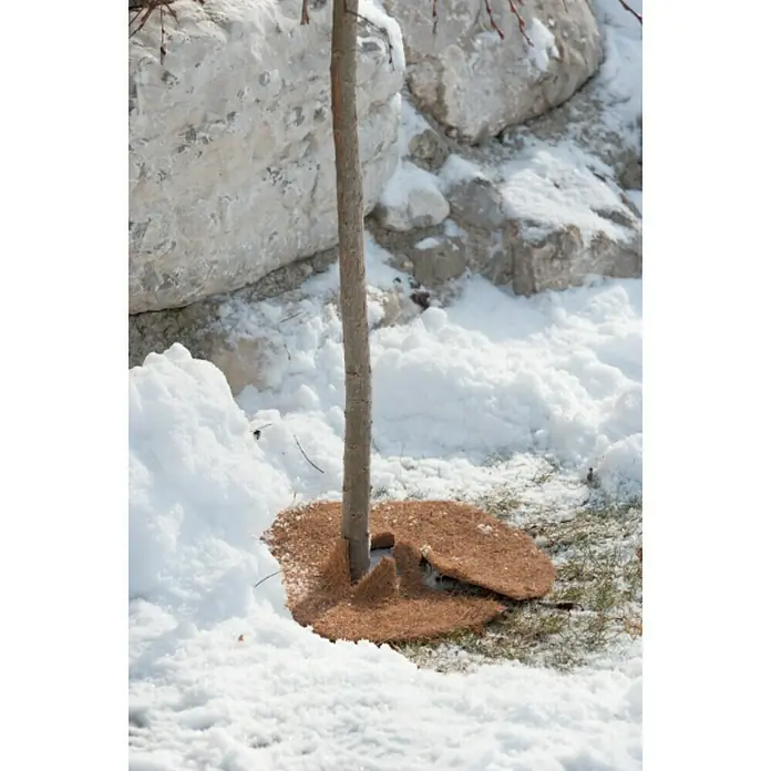 Windhager Kokosmulchscheibe Cocodisc - Durchmesser: 45 cm, Natur