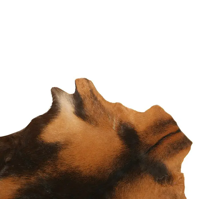 Esbeco Deko-Ziegenfell - Braun, 70 x 55 cm, 100 % Echtfell - Detailaufnahme