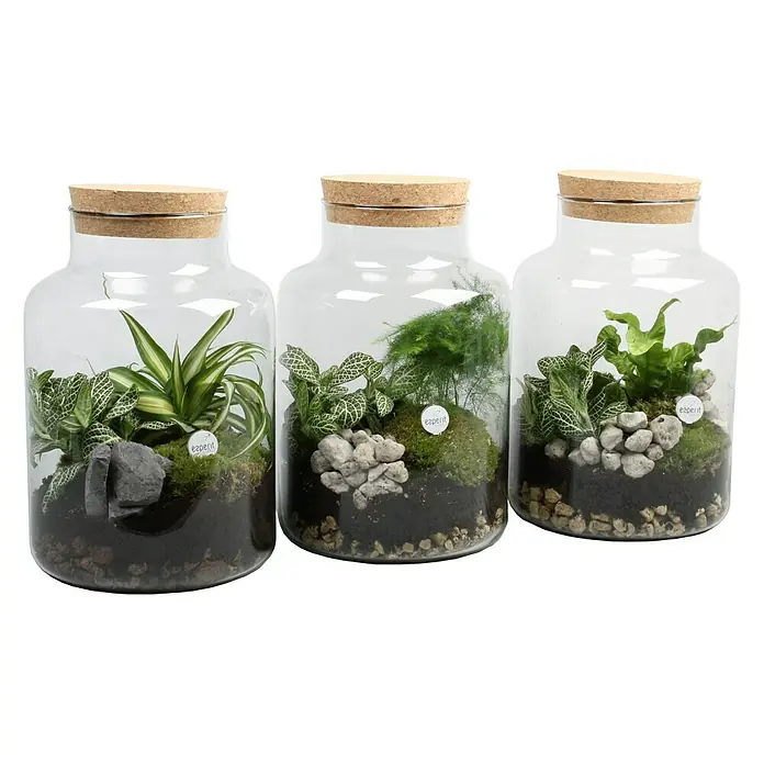 Piardino Jarrón con plantas - 17 cm