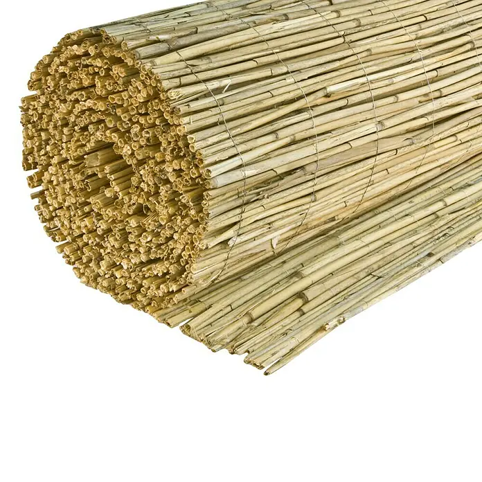 Windhager Sichtschutzmatte Nantai - L x H: 600 x 160 cm, Schilfrohr