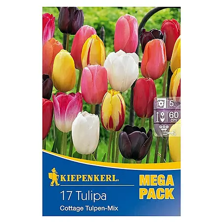 Kiepenkerl  Frühlingsblumenzwiebeln Mega-Pack