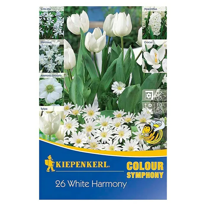 Kiepenkerl Frühlingsblumenzwiebel-Mix White Harmony - Arten-Mischung, 26 Stk. - Vorderansicht