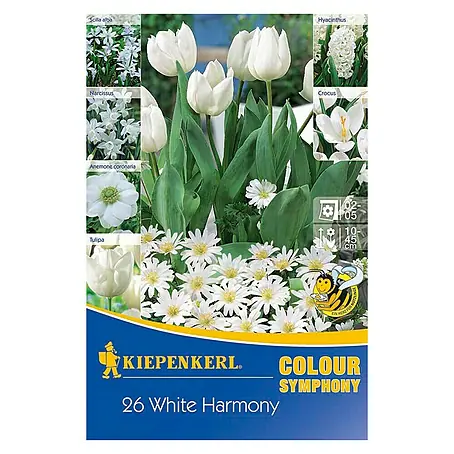 Kiepenkerl  Frühlingsblumenzwiebel-Mix White Harmony