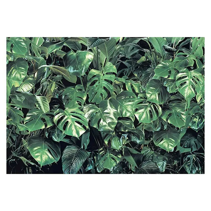 Komar Fototapete Verdure - 8 -tlg., B x H: 368 x 254 cm, Papier - Vorderansicht
