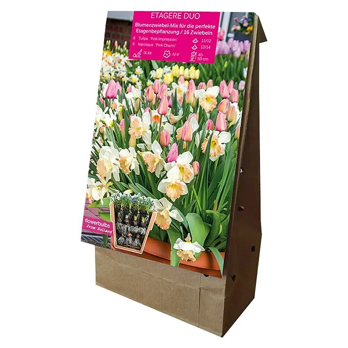 Kiepenkerl Frühlingsblumenzwiebeln Etagere Duo - Etagere Duo - Rechte Seitenansicht