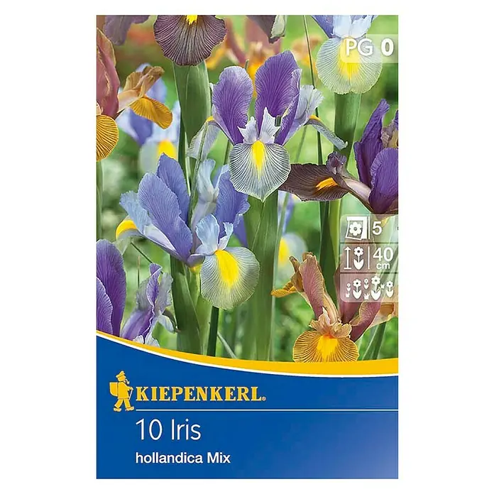 Kiepenkerl Frühlingsblumenzwiebeln Schwertlilien holländischer Mix - Iris hollandica, 10 Stk. - Vorderansicht