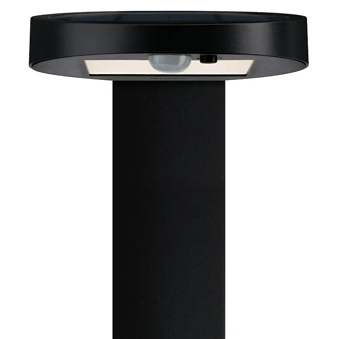 Paulmann Solarleuchte Ryse - 1,2 W, Anthrazit, Höhe: 79,6 cm