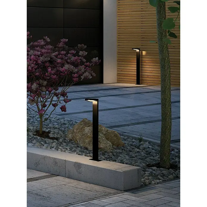 Paulmann Solarleuchte Ryse - 1,2 W, Anthrazit, Höhe: 79,6 cm