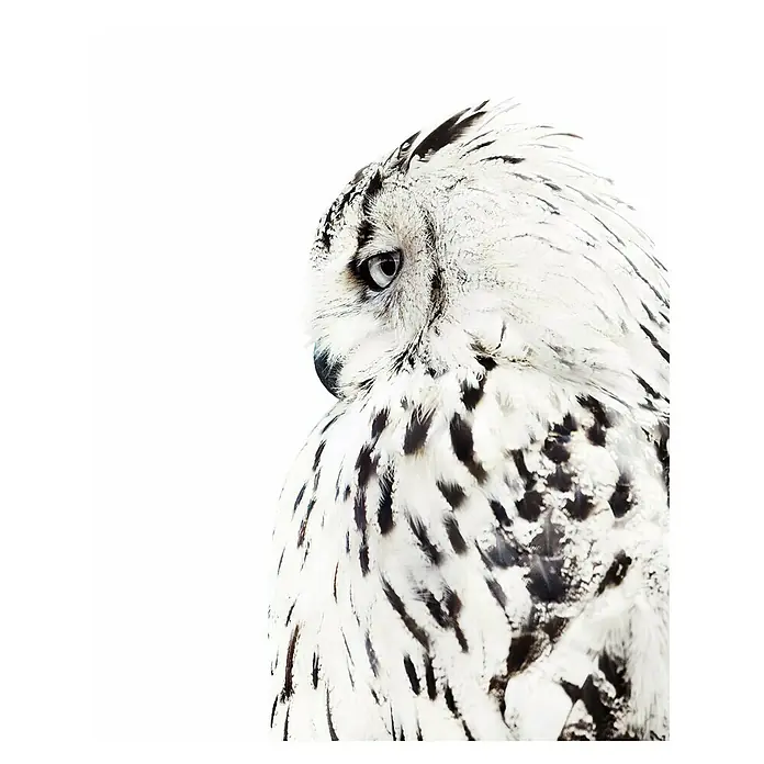 Decoratief paneel - In verschillende motieven verkrijgbaar, b x h: 20 x 30 cm