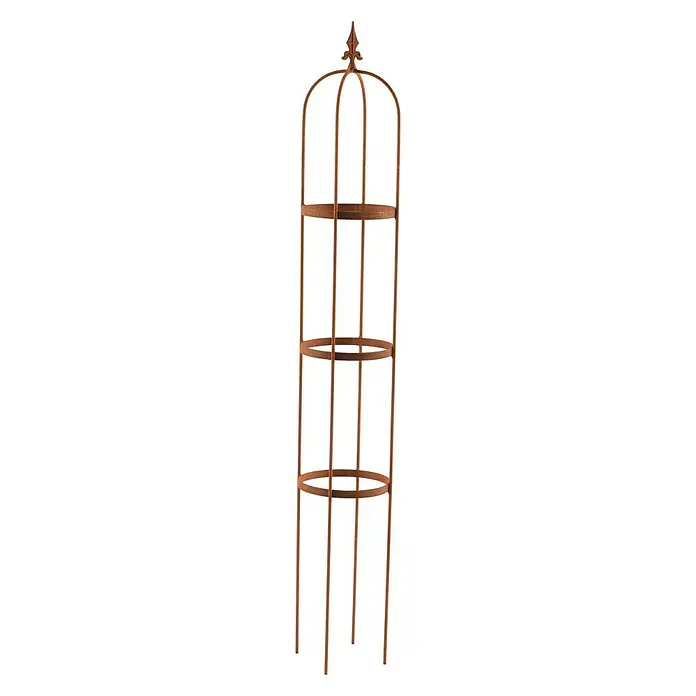 Rankhilfe Obelisk Oscar - Rost, Höhe: 160 cm - Vorderansicht