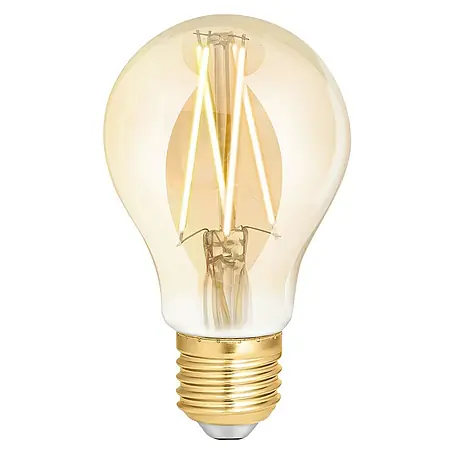 WiZ  LED-Leuchtmittel