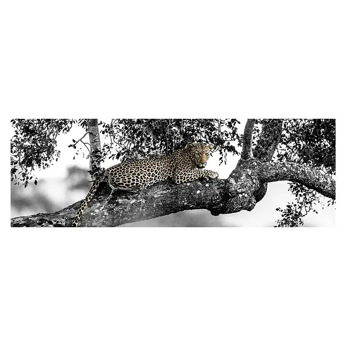 Póster Leopardo en rama - Leopard on branch, An x Al: 135 x 45 cm