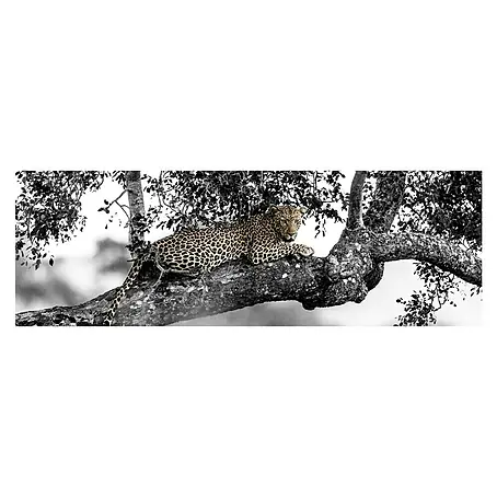 Póster Leopardo en rama