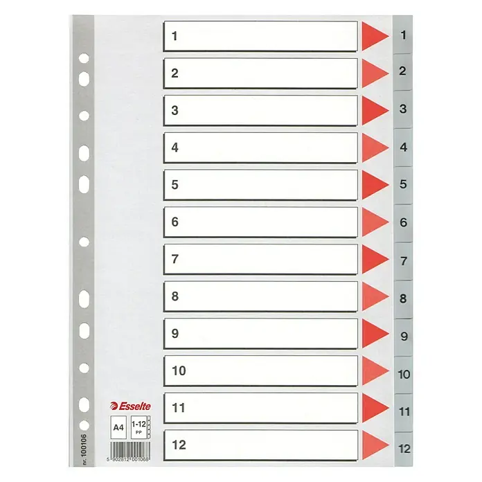 Esselte Register - B x H: 225 x 297 mm, 12-tlg. Register, Polypropylen - Vorderansicht