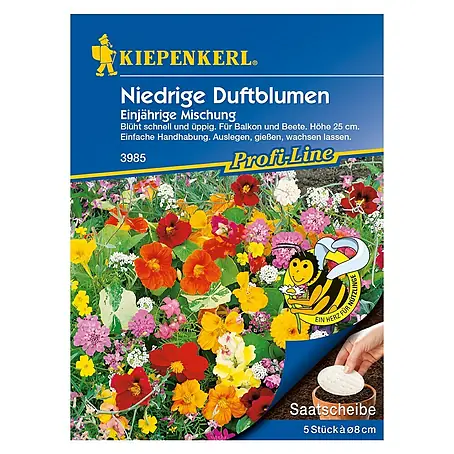 Kiepenkerl Profi-Line Blumensamen Niedrige Duftblumen