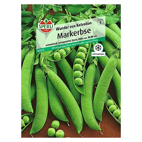 Sperli  Gemüsesamen Markerbse Wunder von Kelvedon