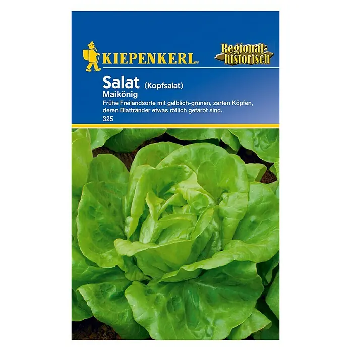 Kiepenkerl Salatsamen Kopfsalat - Maikönig, Lactuca sativa var. capitata - Vorderansicht