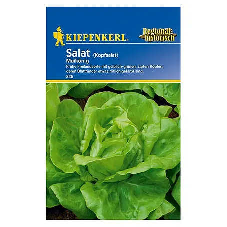 Kiepenkerl  Salatsamen Kopfsalat