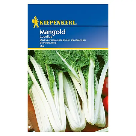 Kiepenkerl  Gemüsesamen Mangold Lukullus