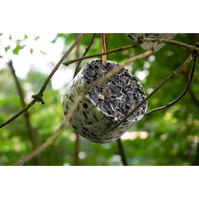Dobar Wildvogelfutter Set - 6 Stk. - Stimmungsaufnahme