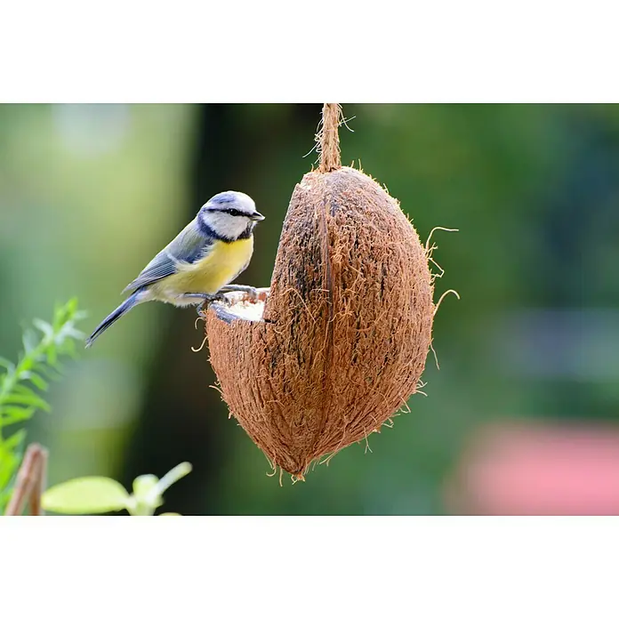 Dobar Wildvogelfutter Set - 6 Stk. - Stimmungsaufnahme
