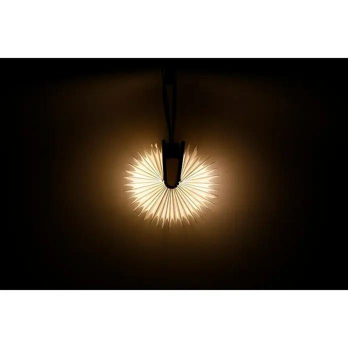 LED-Nachtlicht Book - Braun/Transparent, 2,5 x 9 x 12,3 cm, RGBW